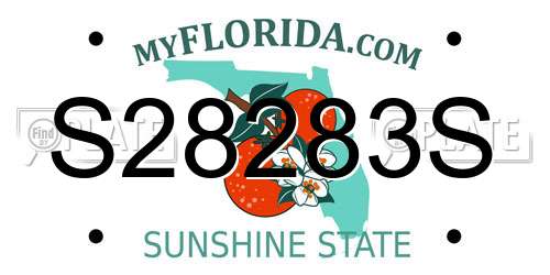 S28283S Florida License Plate