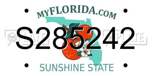 S285242 Florida License Plate