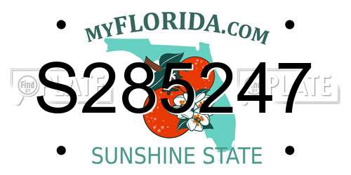 S285247 Florida License Plate