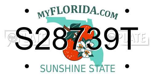 S28739T Florida License Plate