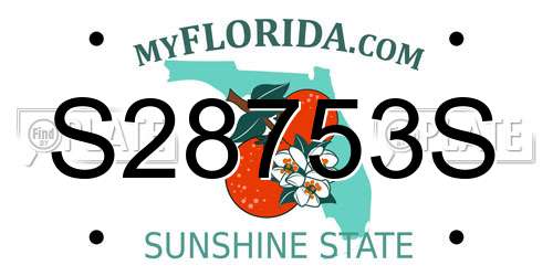 S28753S Florida License Plate