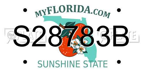 S28783B Florida License Plate
