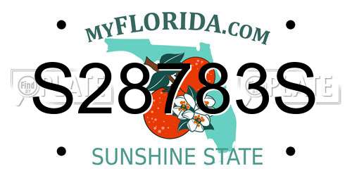 S28783S Florida License Plate