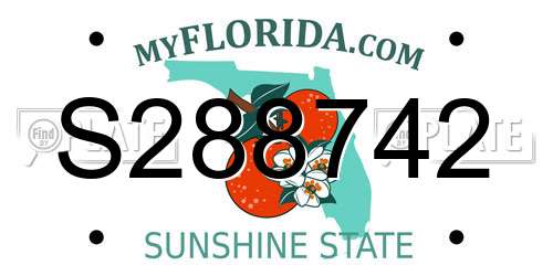 S288742 Florida License Plate