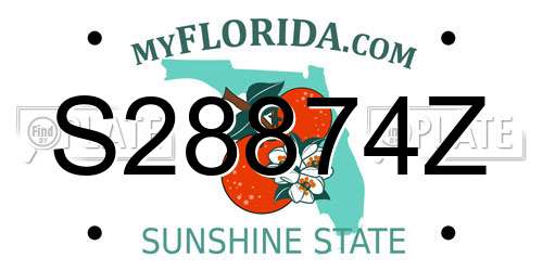 S28874Z Florida License Plate