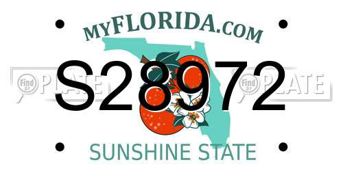 S28972 Florida License Plate