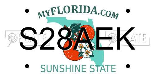 S28AEK Florida License Plate