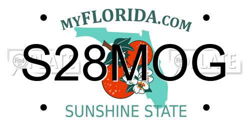 S28MOG Florida License Plate