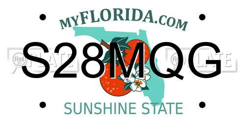 S28MQG Florida License Plate