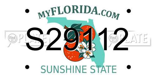S29112 Florida License Plate