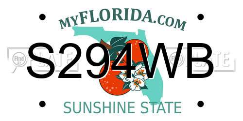S294WB Florida License Plate