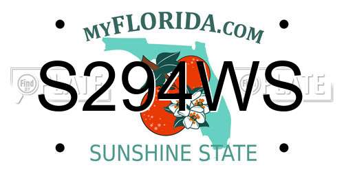 S294WS Florida License Plate