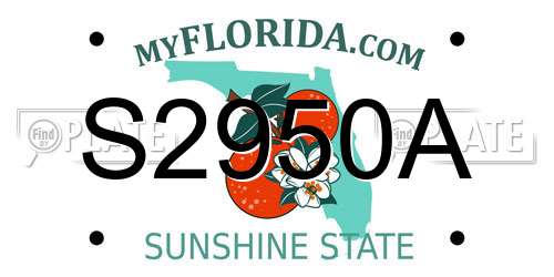 S2950A Florida License Plate