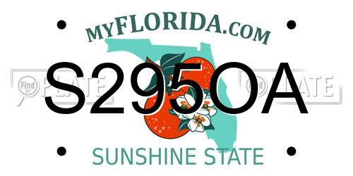 S295OA Florida License Plate