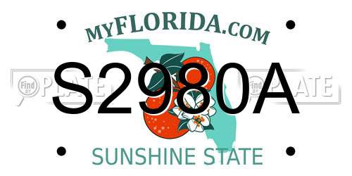 S2980A Florida License Plate