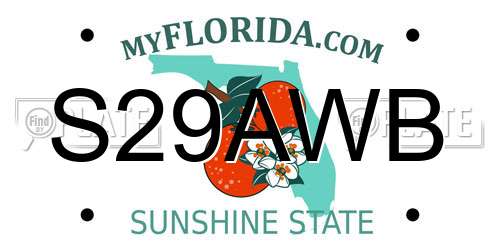 S29AWB Florida License Plate