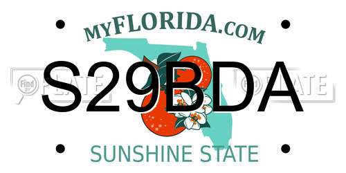 S29BDA Florida License Plate