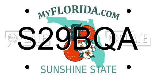 S29BQA Florida License Plate