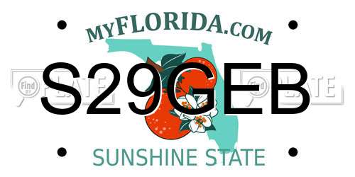 S29GEB Florida License Plate