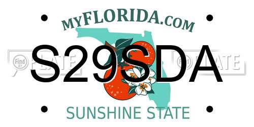 S29SDA Florida License Plate