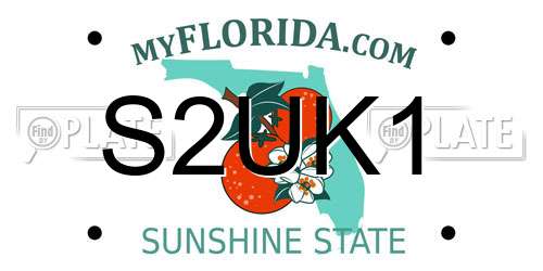 S2UK1 Florida License Plate