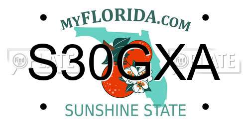 S30GXA Florida License Plate