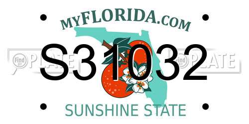 S31032 Florida License Plate