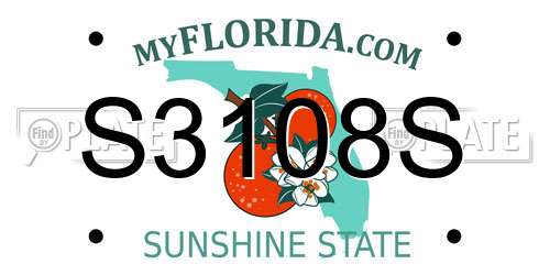 S3108S Florida License Plate