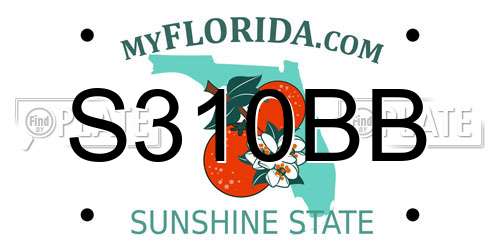 S310BB Florida License Plate
