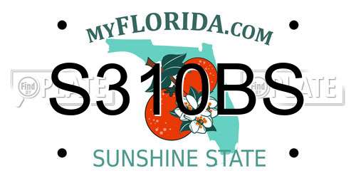 S310BS Florida License Plate