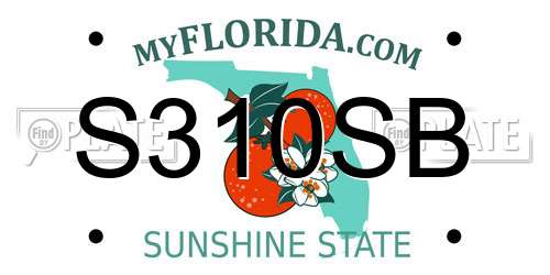 S310SB Florida License Plate