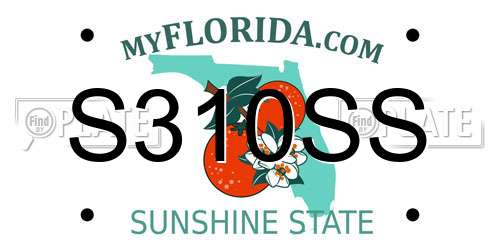 S310SS Florida License Plate