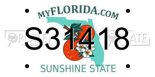 S31418 Florida License Plate