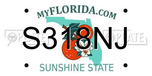 S318NJ Florida License Plate