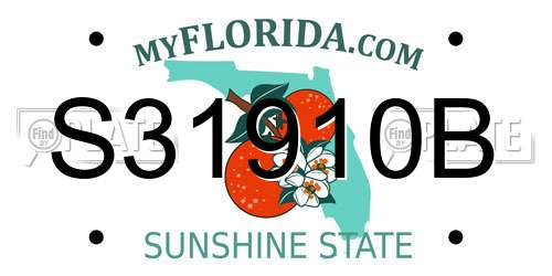 S31910B Florida License Plate
