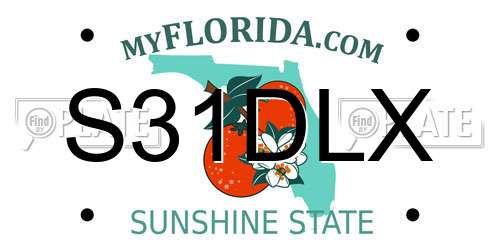 S31DLX Florida License Plate
