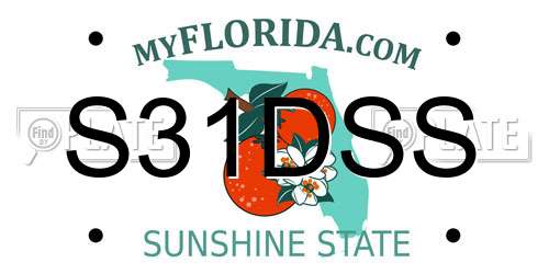S31DSS Florida License Plate