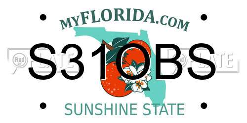 S31OBS Florida License Plate