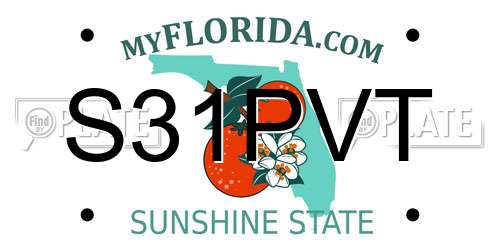 S31PVT Florida License Plate