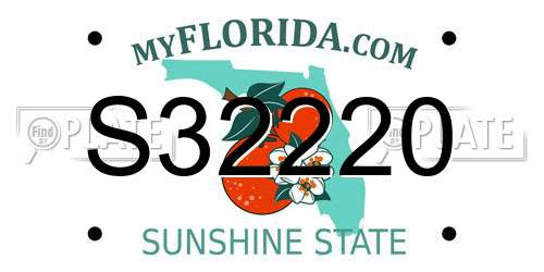 S32220 Florida License Plate