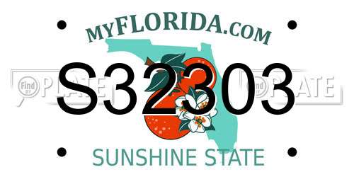 S32303 Florida License Plate