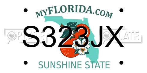 S323JX Florida License Plate