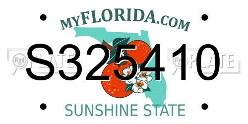 S325410 Florida License Plate