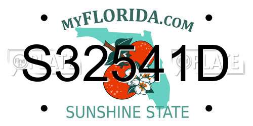 S32541D Florida License Plate