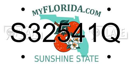 S32541Q Florida License Plate