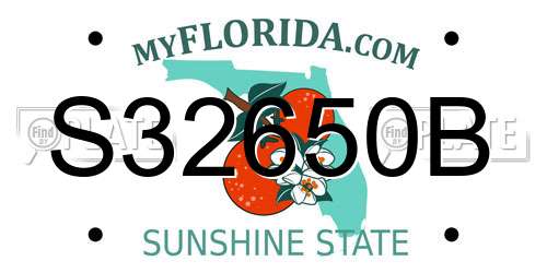 S32650B Florida License Plate