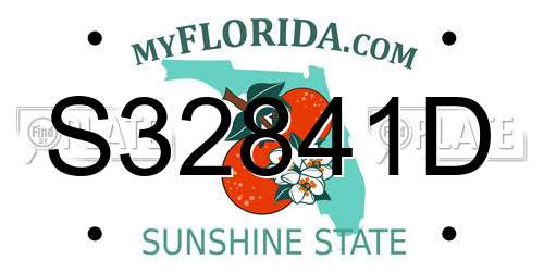 S32841D Florida License Plate