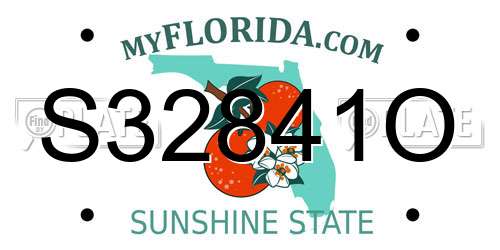 S32841O Florida License Plate