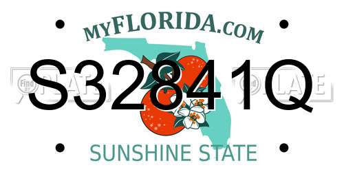 S32841Q Florida License Plate