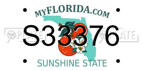 S33376 Florida License Plate